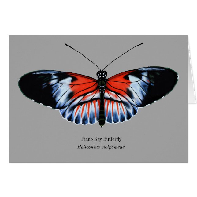 Piano Key Butterfly Painting in Black, Red, White (Front Horizontal)