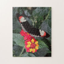 Piano Key Butterfly Puzzle