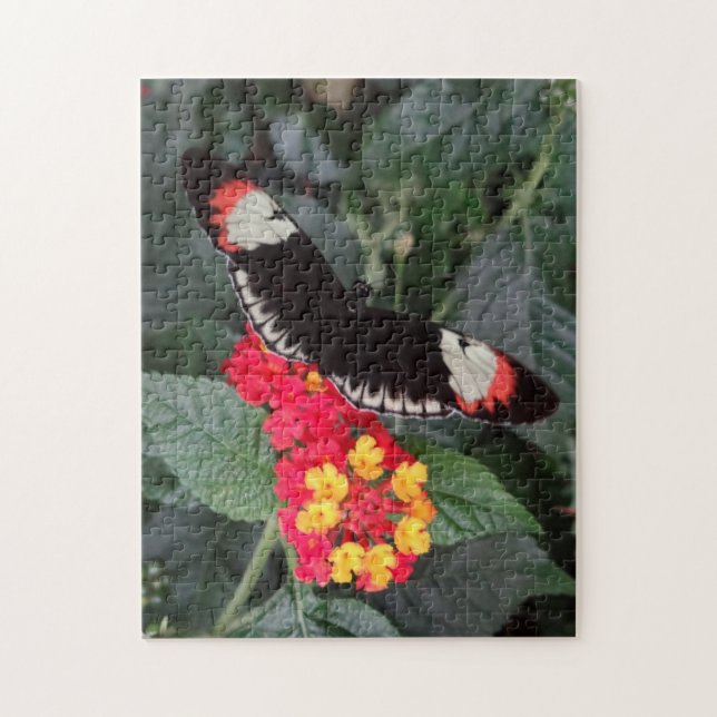 Piano Key Butterfly Puzzle (Vertical)