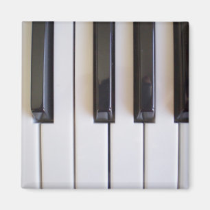 Piano Keys Magnet