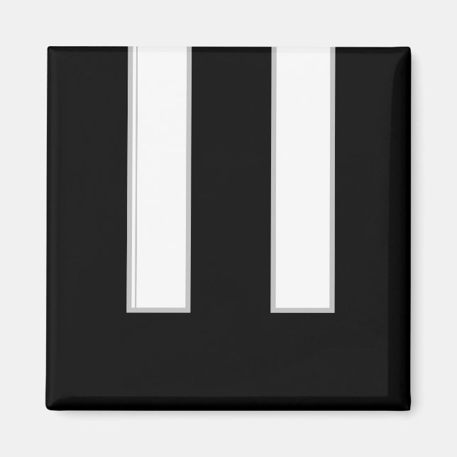 Piano Keys Musical Instrument Black White Magnet (Front)