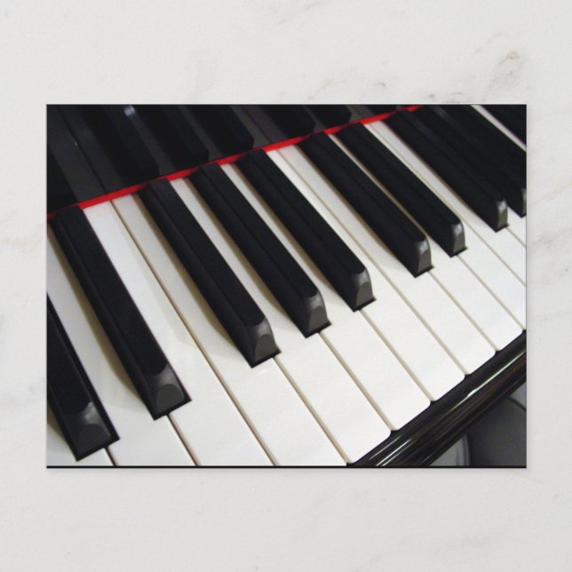 Piano Keys Photograph Postcard (Front)