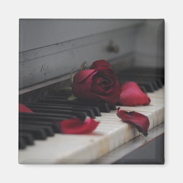 Piano Keys with a Red Rose Magnet (Front)