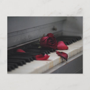 Piano Keys with a Red Rose Postcard