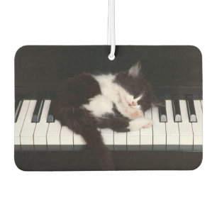 Piano Kitten Air Freshener