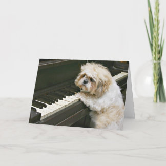 piano player card