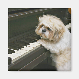 piano player magnet
