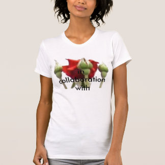 PIC_0010, in collaboration with T-Shirt