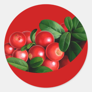 pic_04 classic round sticker