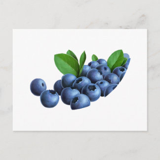 pic_11 postcard