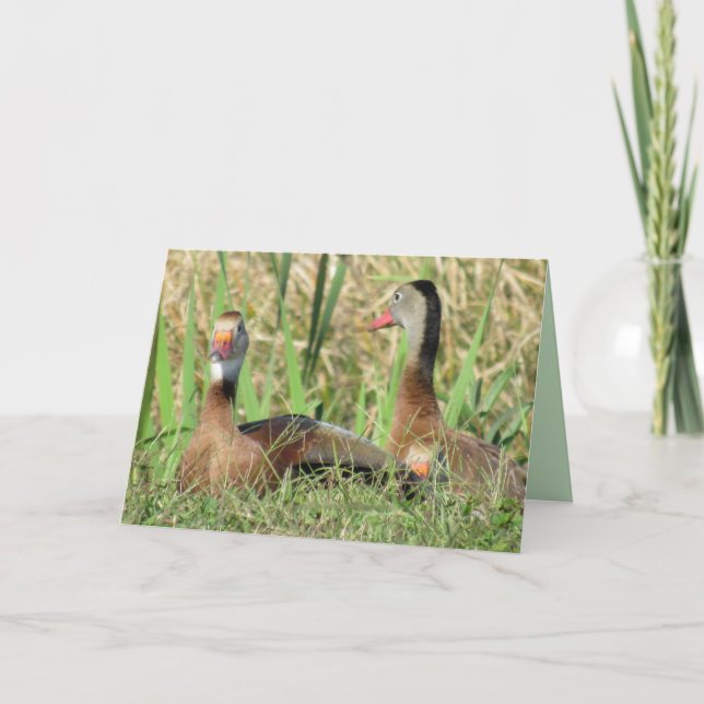 Pic of Black-Bellied Whistling Ducks Birthday Holiday Card (Front)