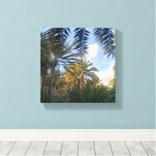 pic of palm tree canvas print