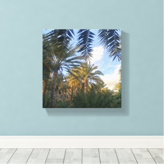pic of palm tree canvas print