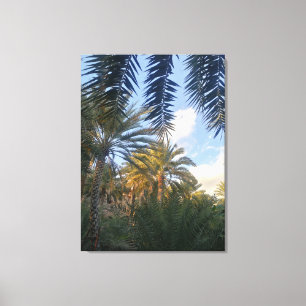 pic of palm tree canvas print