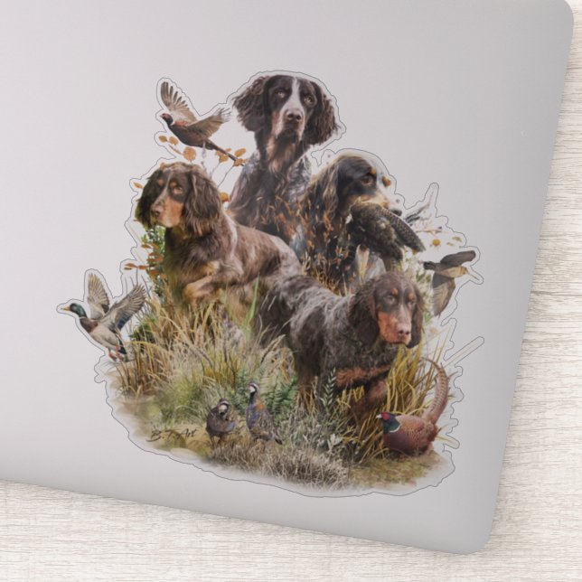 Picardy Spaniel (Detail)