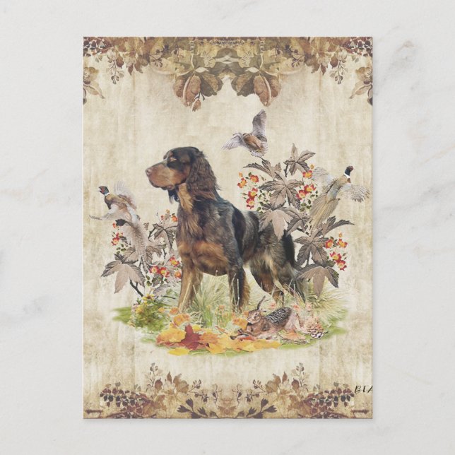 Picardy Spaniel , Bird hunting    Postcard (Front)