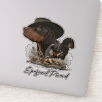 Picardy Spaniel , Hunting Season
