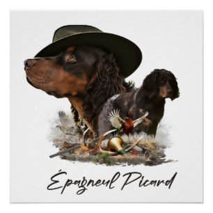 Picardy Spaniel , Hunting Season   Poster