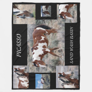 Picasso Icon of Sand Wash Basin,  Colorado Fleece Blanket