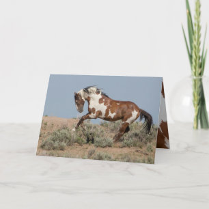 Picasso Leaps Wild Horse Greeting Card