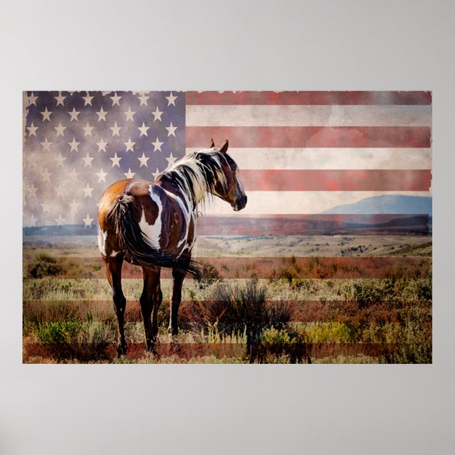 Picasso of Sand Wash Basin Poster (Front)