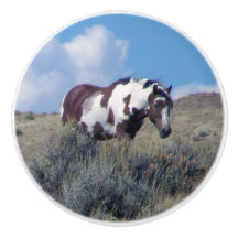 Picasso under a Blue Sky