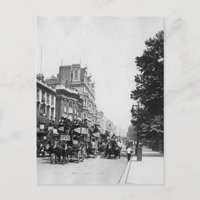 Piccadilly, London Postcard (Front)