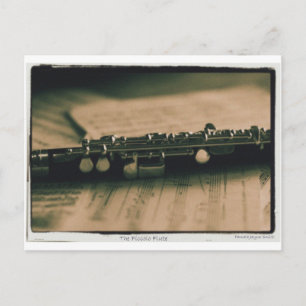 piccolo Flute 1839 Postcard