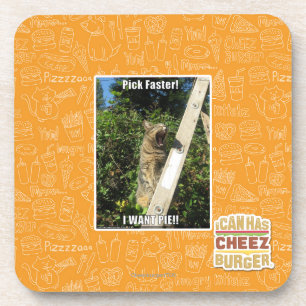 Pick Faster! Coaster