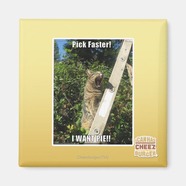 Pick Faster! Magnet (Front)