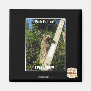 Pick Faster! Magnet