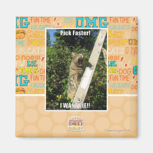Pick Faster! Magnet