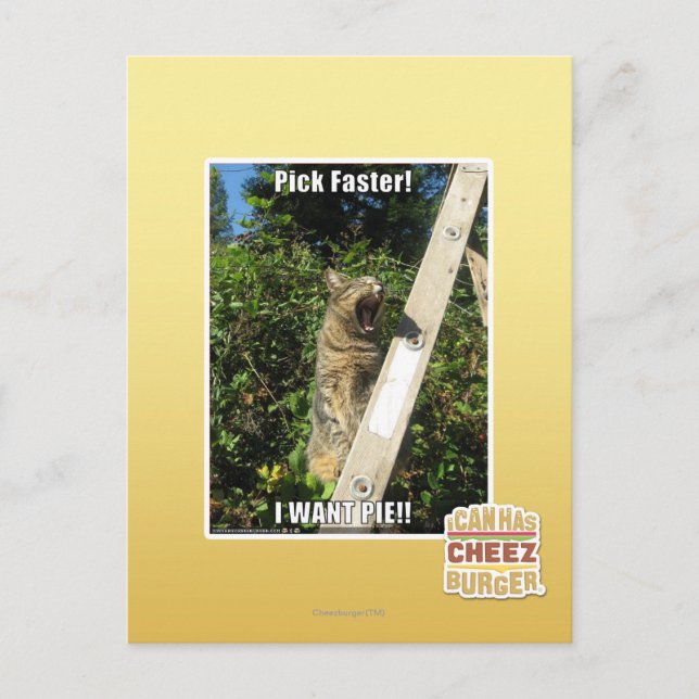 Pick Faster! Postcard (Front)