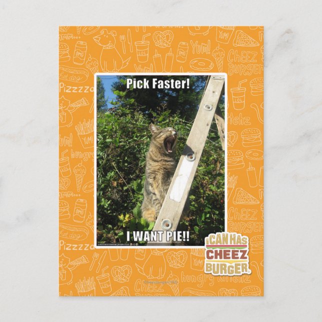 Pick Faster! Postcard (Front)