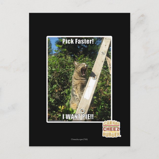 Pick Faster! Postcard (Front)