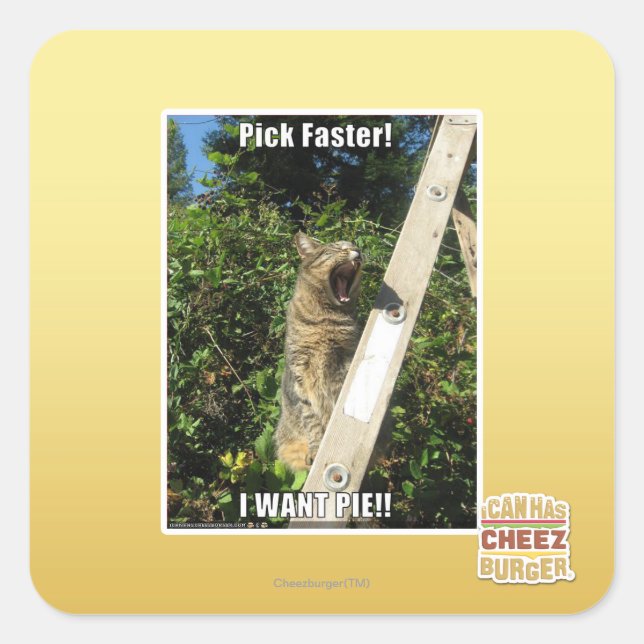 Pick Faster! Square Sticker (Front)