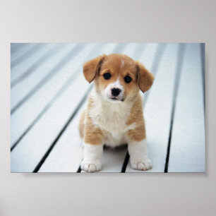 PICK ON SOMEONE YOUR OWN SIZE POSTER