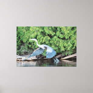 Pick Up Your Feet Canvas Print