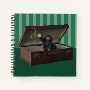 Pickett & Teddy in Briefcase Notebook