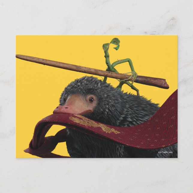 Pickett & Teddy With Wand and Tie Postcard (Front)