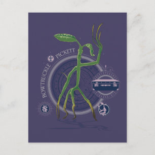 PICKETT™ The BOWTRUCKLE™ Graphic Postcard