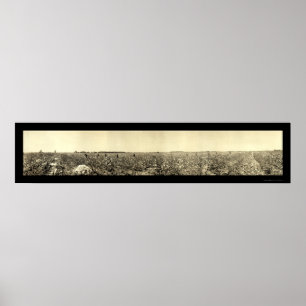 Picking Cotton Photo 1917 Poster