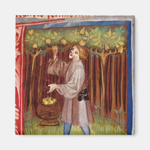 Picking fruit magnet