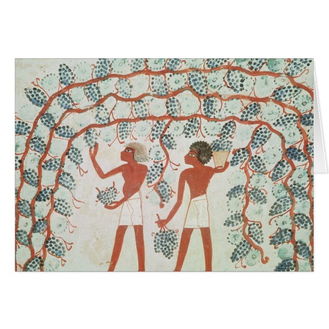 Picking grapes, from the Tomb of Nakht (Front Horizontal)