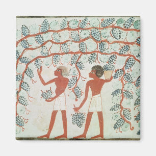 Picking grapes, from the Tomb of Nakht Magnet