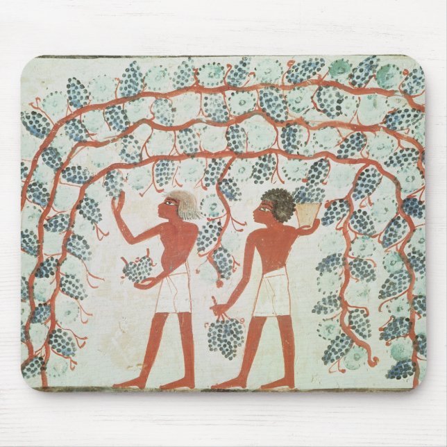 Picking grapes, from the Tomb of Nakht Mouse Mat (Front)