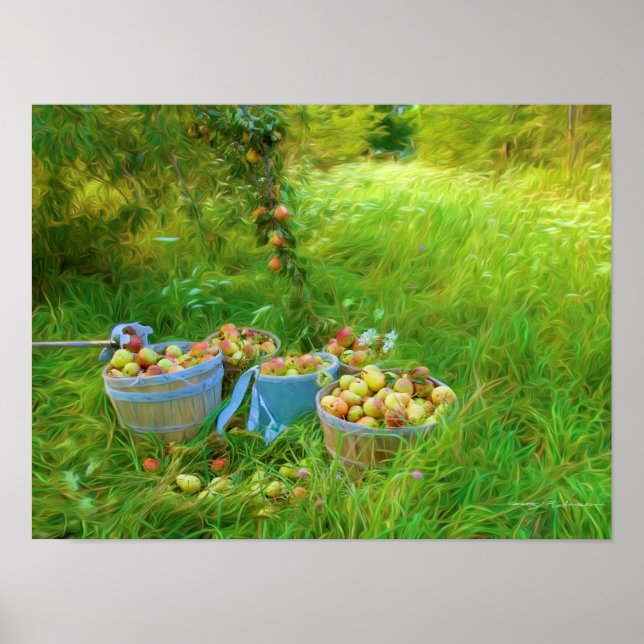 Picking Pears Value Poster Paper (Matte) (Front)