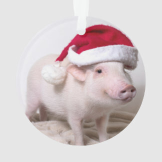 Pickle the Mini Pig Christmas Ornament