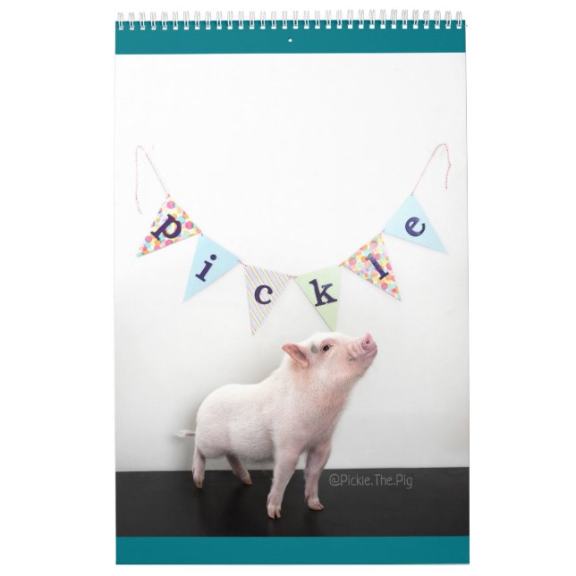 Pickle the Pig Calendar (Cover)