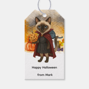 Pickleball halloween party for cat lovers gift tags